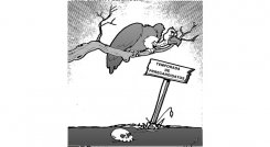 Caricatura-20-de-junio