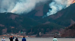 El fuego no es malo para la biodiversidad