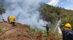 Exigen castigo ejemplar a los pirómanos.