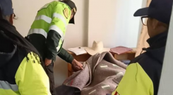La mujer se encontraba en estado de ebriedad