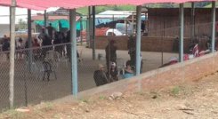 militares