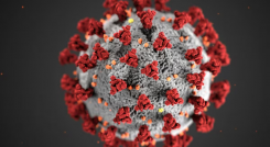 nuevo virus en China