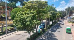 Debido a los cruces especiales se adelantará la tala de árboles en la avenida Francisco Fernández de Contreras.