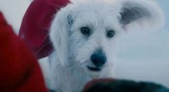 Efecto-krypto