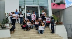 La muerte de una canina en el asentamiento humano Tierra Santa de Ocaña genera conmoción entre la comunidad.