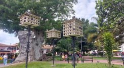 En Ocaña es bastante elevado los índices de maltrato animal y los defensores exigen castigos ejemplares.