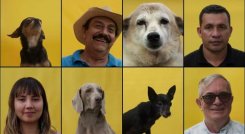 ‘Perra Vida’: el documental que retrata a Colombia a través de sus perros.
