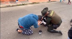 Perrito rescatado en Pamplona