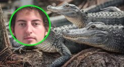ASESINO DE CAIMANES 