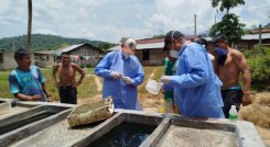 El Instituto Departamental de Salud traslada a equipos básicos con profesionales para atender la emergencia en los resguardos indígenas.