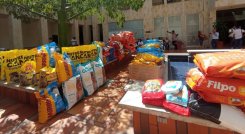 En la Alcaldía se llevo a cabo una gran donaton de alimento que beneficia a albergues, hogares de paso y fundaciones