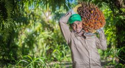 La empresa Gremca obtuvo el sello ISCC-EUDR, exigido por la Unión Europea