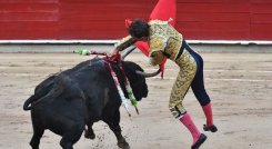 Torero herido 