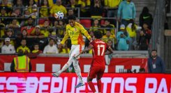 La selección mayor volverá a jugar en noviembre frente a Nueva Zelanda en la última jornada del año de la doble fecha de la FIFA.