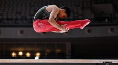 El gimnasta nortesantandereano tuvo una excelente participación en el Mundial de  gimnasia artística, en  Takarta.  