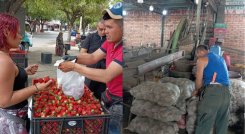 Comerciantes mayoristas de Cenabastos preocupados por Papatón y fresatón, campesinos lo ven como oportunidad