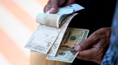 Bolívar y dólar. / Foto Cortesía Efecto Cocuyo