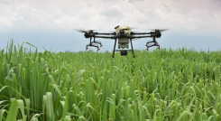 Drones en el campo