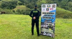 BIENES DISIDENCIAS 