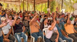 Tierras en el Catatumbo