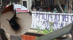 atentado a la opinion 