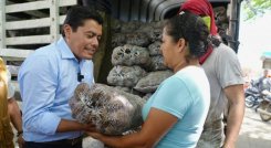 director de Prosperidad Social, lideró jornadas de entregas de papa a hogares vulnerables en Norte de Santander