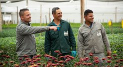 Venezolanos ocupados ya llegan al 64,1% en Colombia, según el DANE