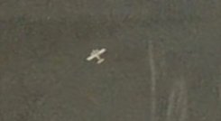 AERONAVE VENEZUELA / CORTESIA 