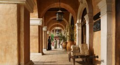 CIEN AÑOS DE SOLEDAD / COLPRENSA 