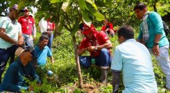 4.800 productores agropecuarios de Tibú, Sardinata y El Tarra, recibirán acompañamiento técnico e insumos, herramientas y equipos para mejorar su productividad mediante el programa ProTierra Catatumbo