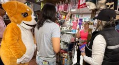 Circular prohibición de mascotas en maletero