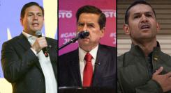 Consulta interpartidista