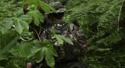Guerrillero de las Farc se adentra entre la selva en algún lugar de Colombia. 