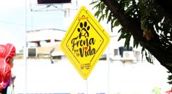 Señalización 'Frena por la vida'