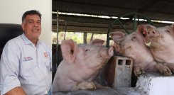 Porcicultores. / Foto La Opinión