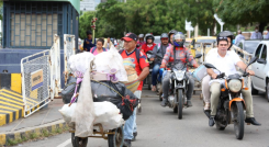 Flujos normales en la frontera ha reportado Migración Colombia. 