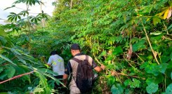 Toledo, primer municipio de Norte de Santander declarado libre de minas antipersonal