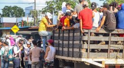 Las familias desplazadas echan mano de cualquier medio de transporte para ir hacia las cabeceras municipales./Foto cortesías