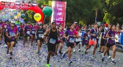 La capital nortesantandereana en vivirá una gran fiesta deportiva con la realización de Maratón Metropolitana de 42 kilómetros. 