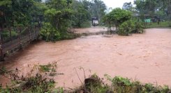 Quebradas y ríos han crecido producto de las lluvias