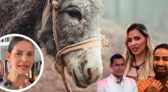 Andrea Padilla pone en la mira a La casa de los famosos por posible maltrato animal