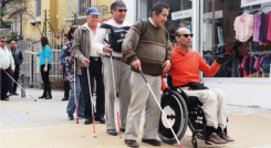 Día del Bastón Blanco