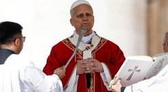 Papa León XIV en Domingo de Ramos