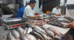 Venta de pescado en la mira de las autoridades ambientales.