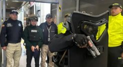 alias-lobo-menor-captura