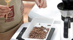 Café de Norte de Santander. / Foto Archivo