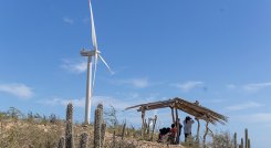 Parque Eólico Jepirachi. / Foto cortesía