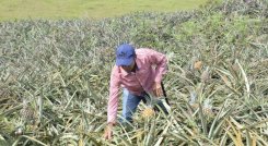 Una mirada audiovisual al Catatumbo.