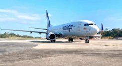 Wingo. / Foto Cortesía