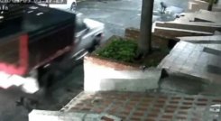 Video | Adulta mayor y su perro murieron en Medellín tras ser atropellados por un conductor que huyó